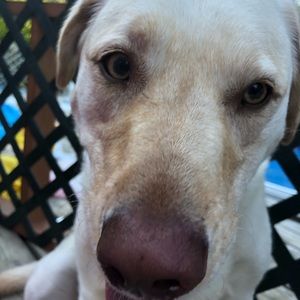 Meet your Posher, Kylee